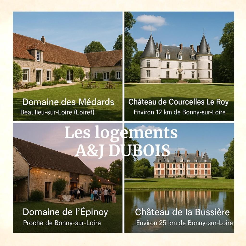 A&J Family - Neuvy Sur Loire - Guedelon Villa Exterior photo